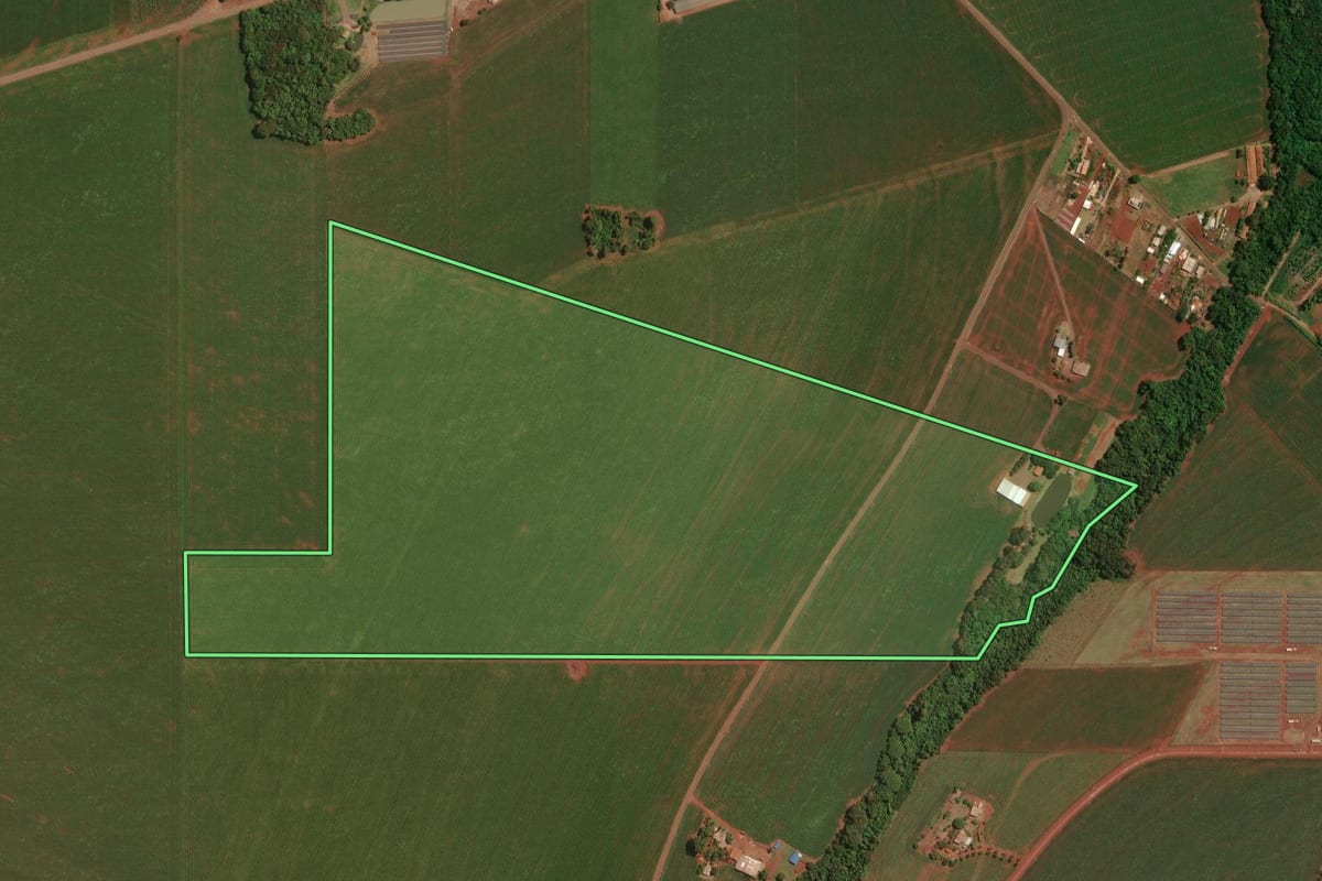 Imagem de satélite do imóvel rural em Palotina (PR), com o contorno declarado no CAR desenhado por cima.