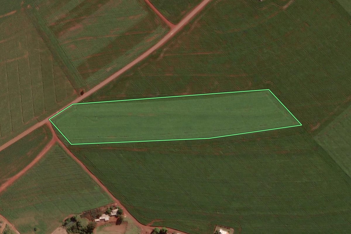 Imagem de satélite do imóvel rural em Palotina (PR), com o contorno declarado no CAR desenhado por cima.