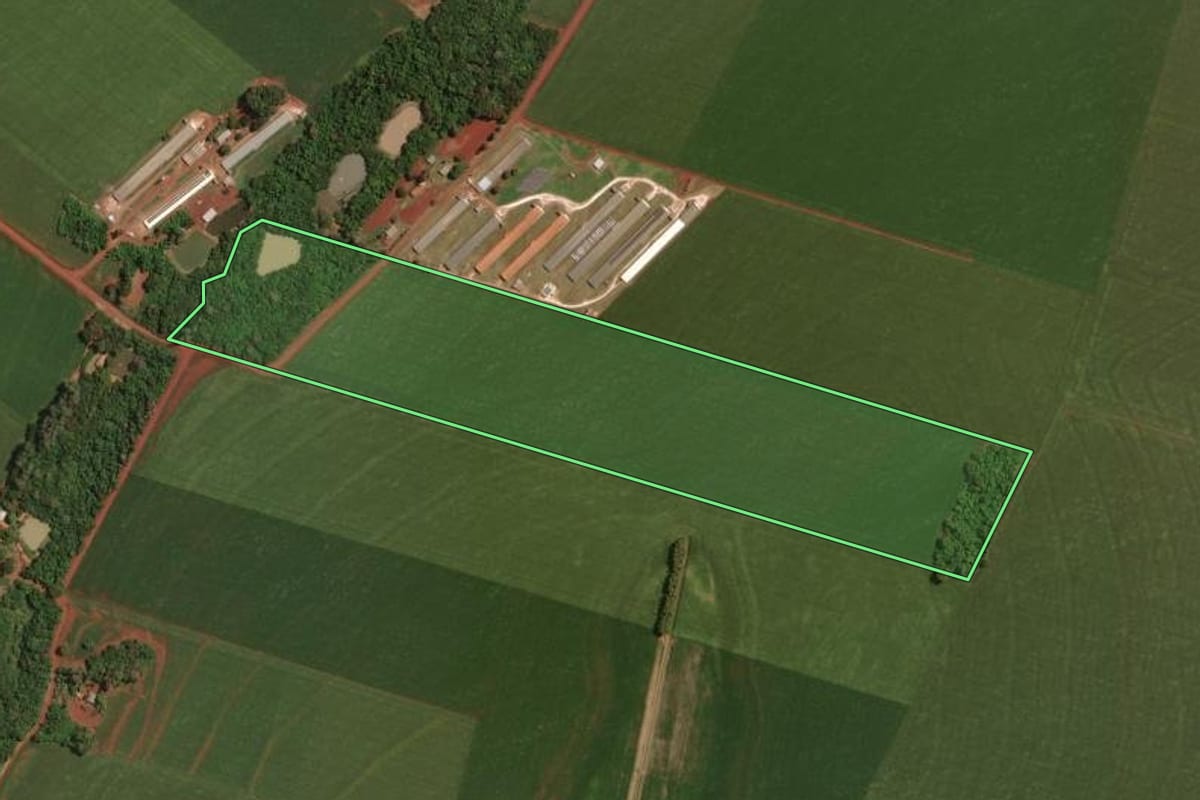 Imagem de satélite do imóvel rural em Palotina (PR), com o contorno declarado no CAR desenhado por cima.