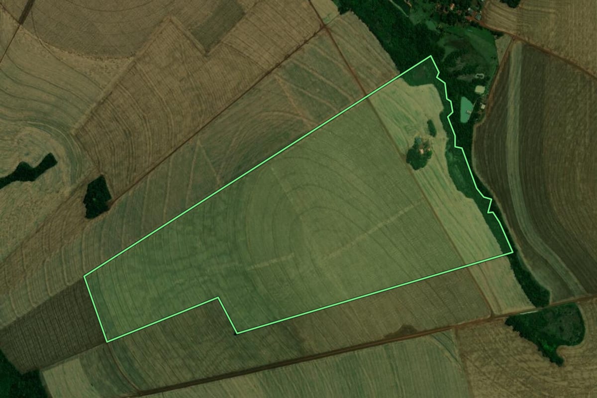 Imagem de satélite do imóvel rural em Palotina (PR), com o contorno declarado no CAR desenhado por cima.