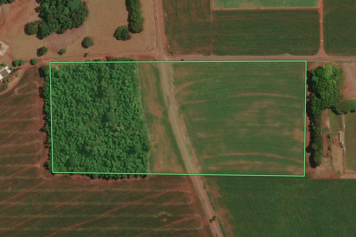 Imagem de satélite do imóvel rural em Palotina (PR), com o contorno declarado no CAR desenhado por cima.