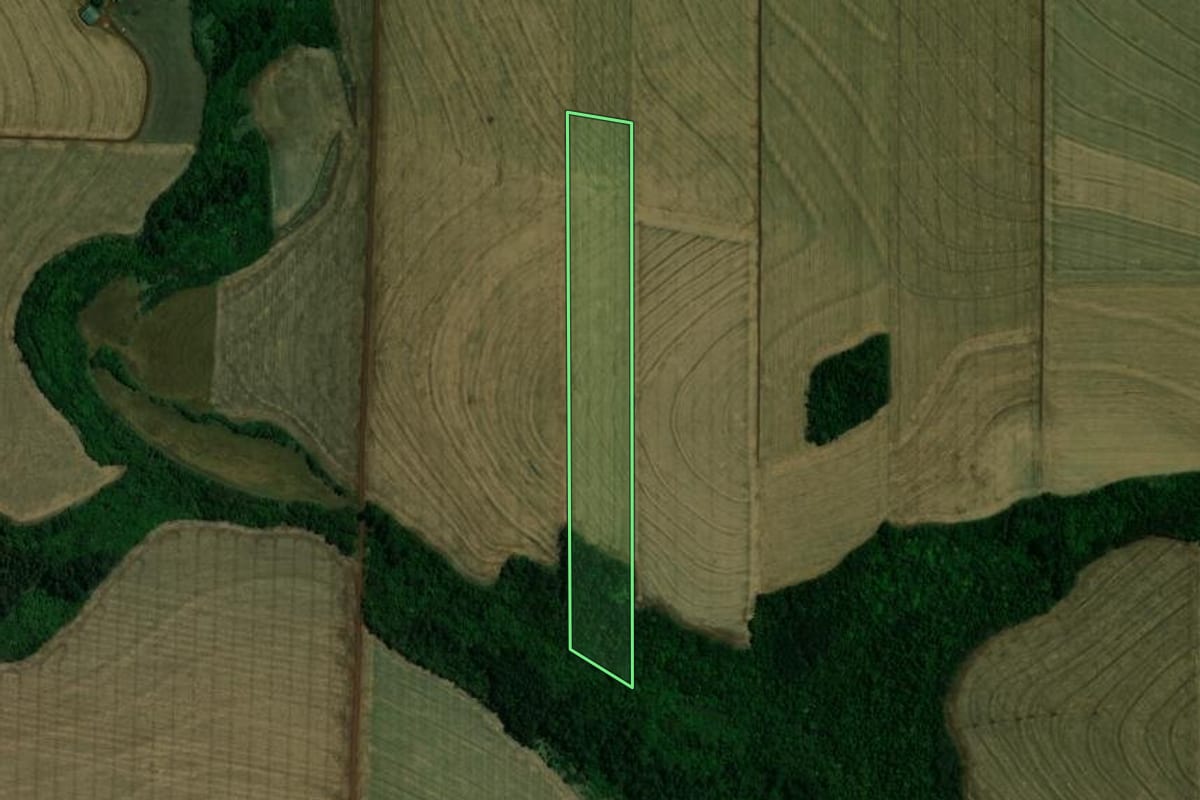 Imagem de satélite do imóvel rural em Palotina (PR), com o contorno declarado no CAR desenhado por cima.