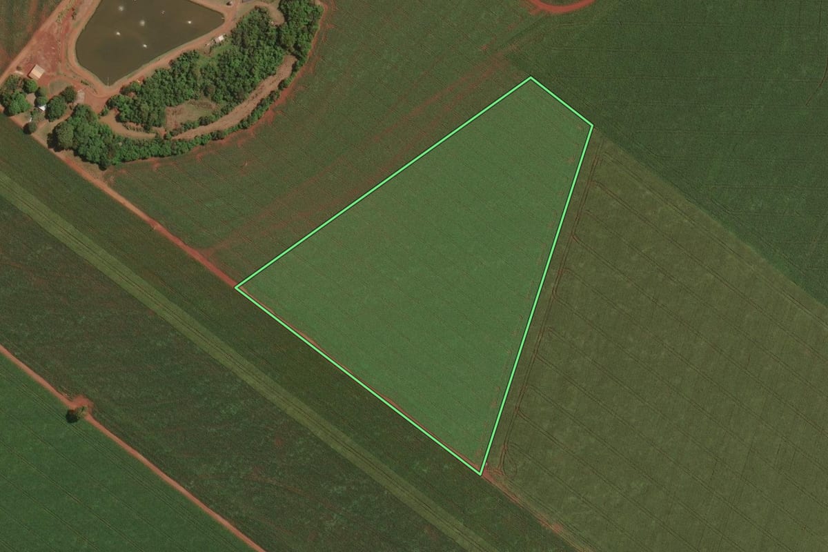 Imagem de satélite do imóvel rural em Palotina (PR), com o contorno declarado no CAR desenhado por cima.