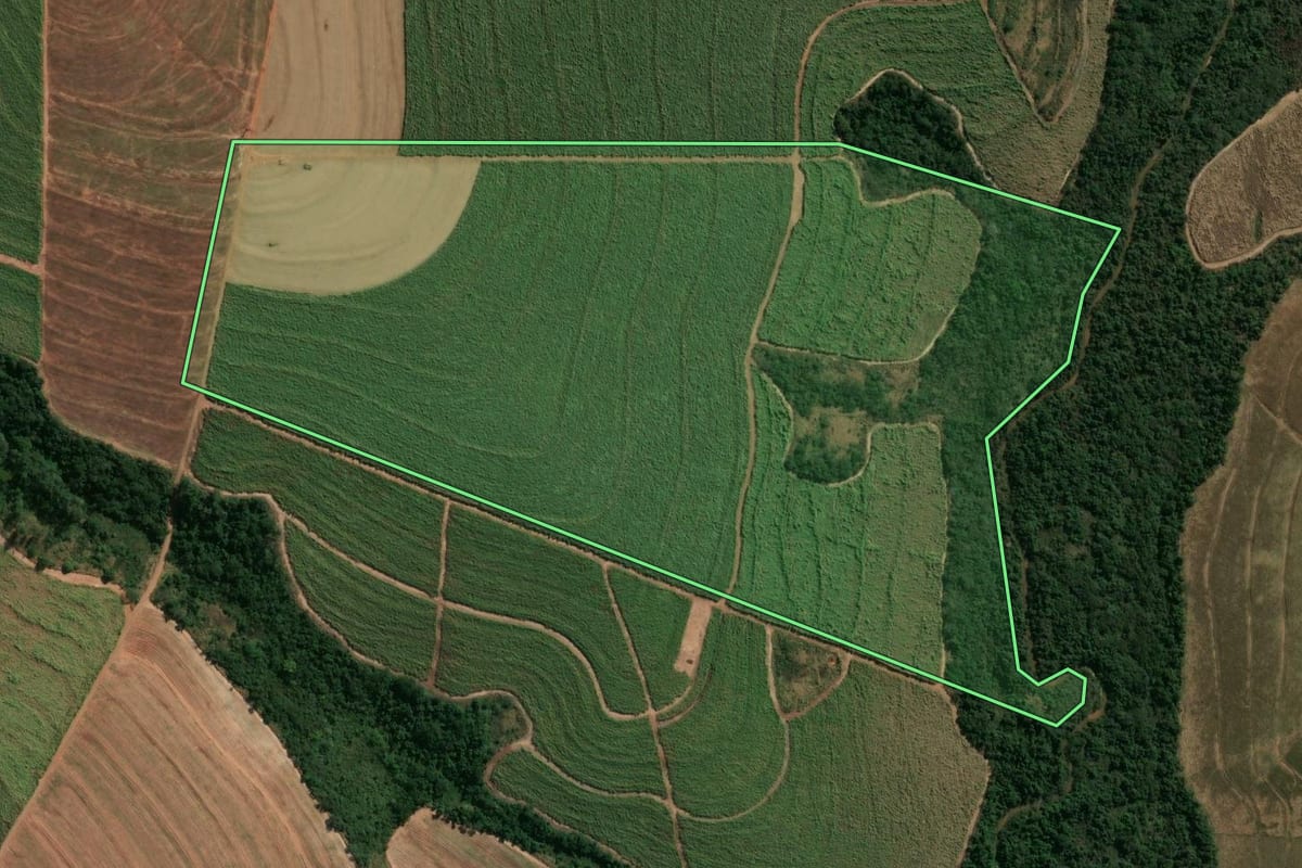 Imagem de satélite do imóvel rural em Paraíso do Norte (PR), com o contorno declarado no CAR desenhado por cima.