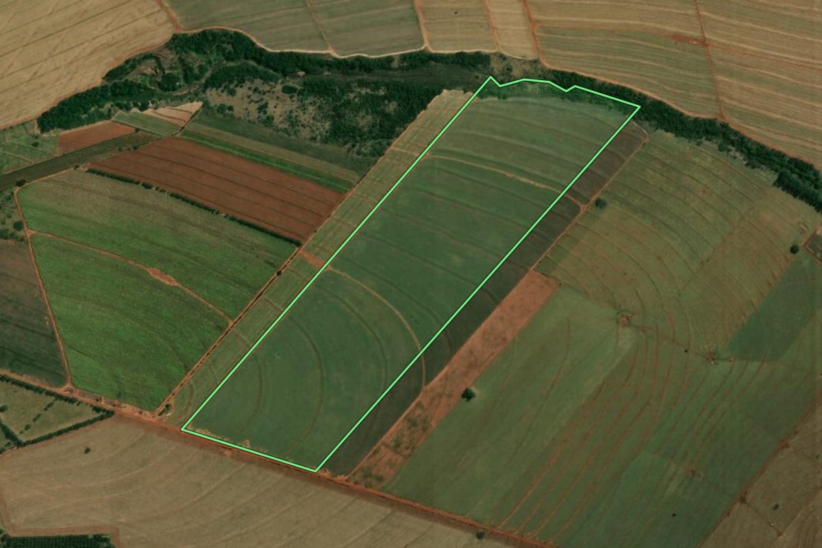 Imagem de satélite do imóvel rural em Paranacity (PR), com o contorno declarado no CAR desenhado por cima.