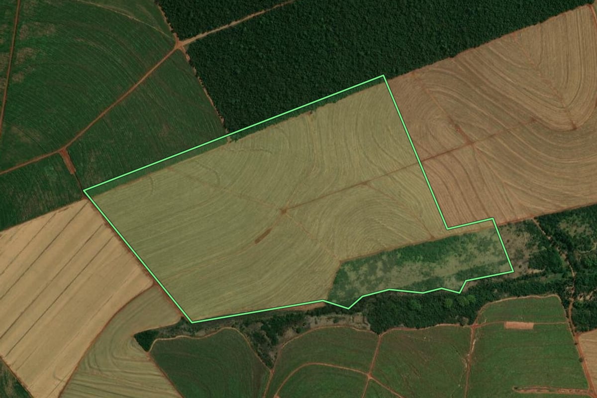 Imagem de satélite do imóvel rural em Paranacity (PR), com o contorno declarado no CAR desenhado por cima.