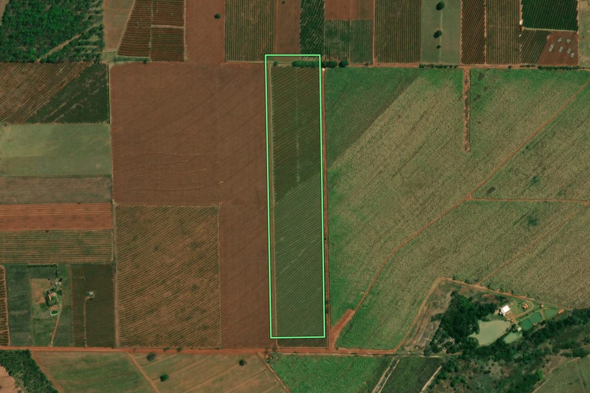 Imagem de satélite do imóvel rural em Paranacity (PR), com o contorno declarado no CAR desenhado por cima.