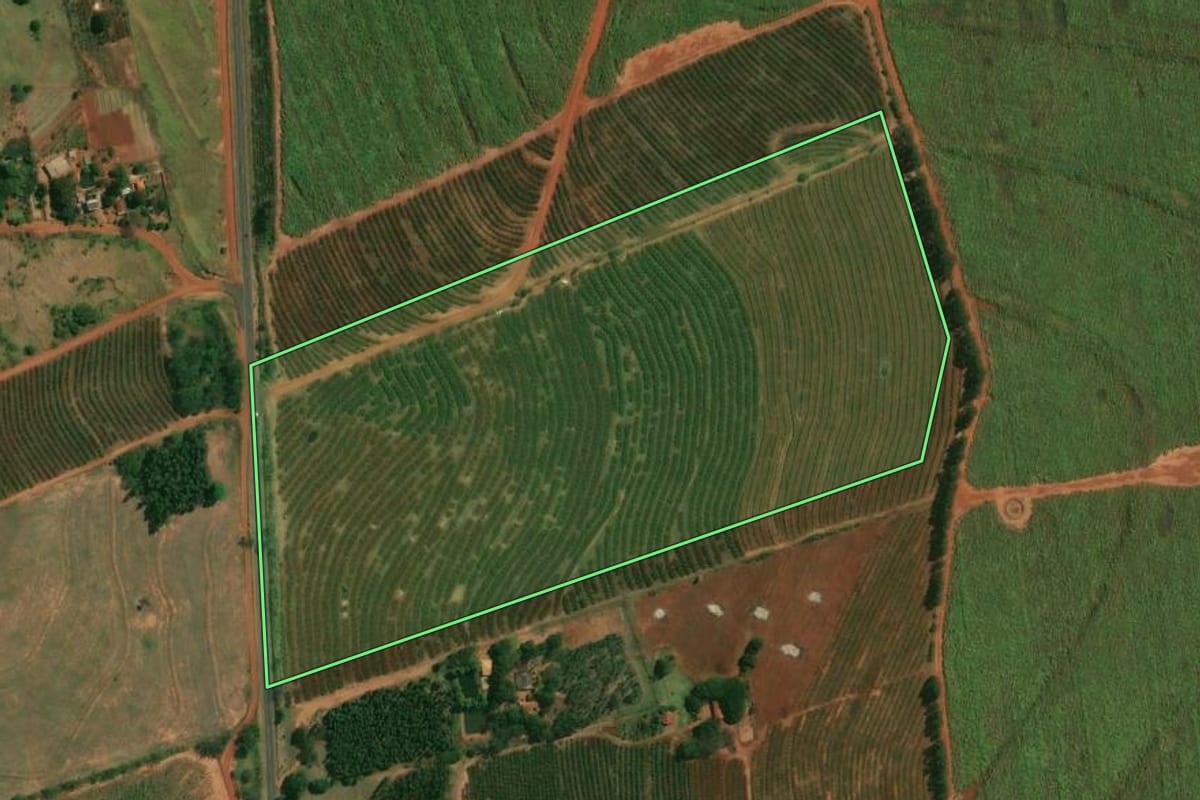 Imagem de satélite do imóvel rural em Paranacity (PR), com o contorno declarado no CAR desenhado por cima.