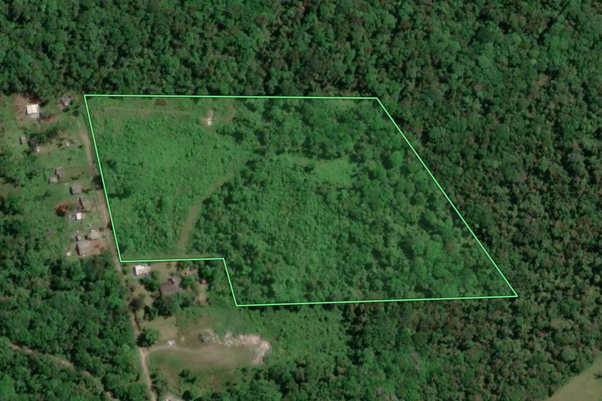 Imagem de satélite do imóvel rural em Paranaguá (PR), com o contorno declarado no CAR desenhado por cima.