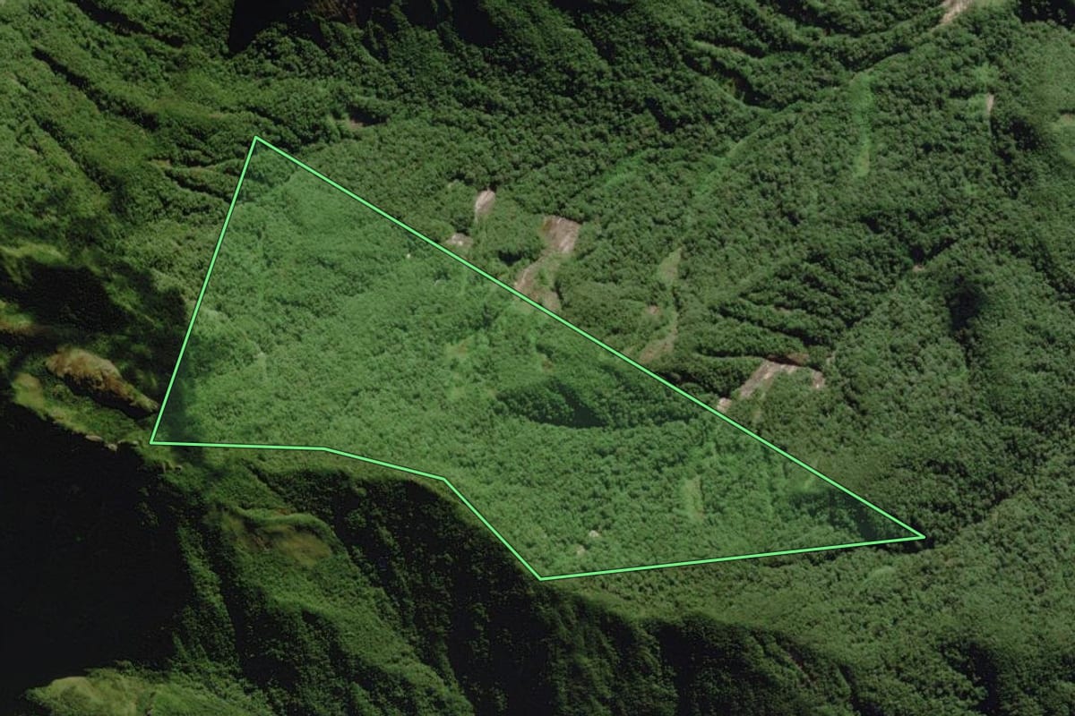 Imagem de satélite do imóvel rural em Paranaguá (PR), com o contorno declarado no CAR desenhado por cima.