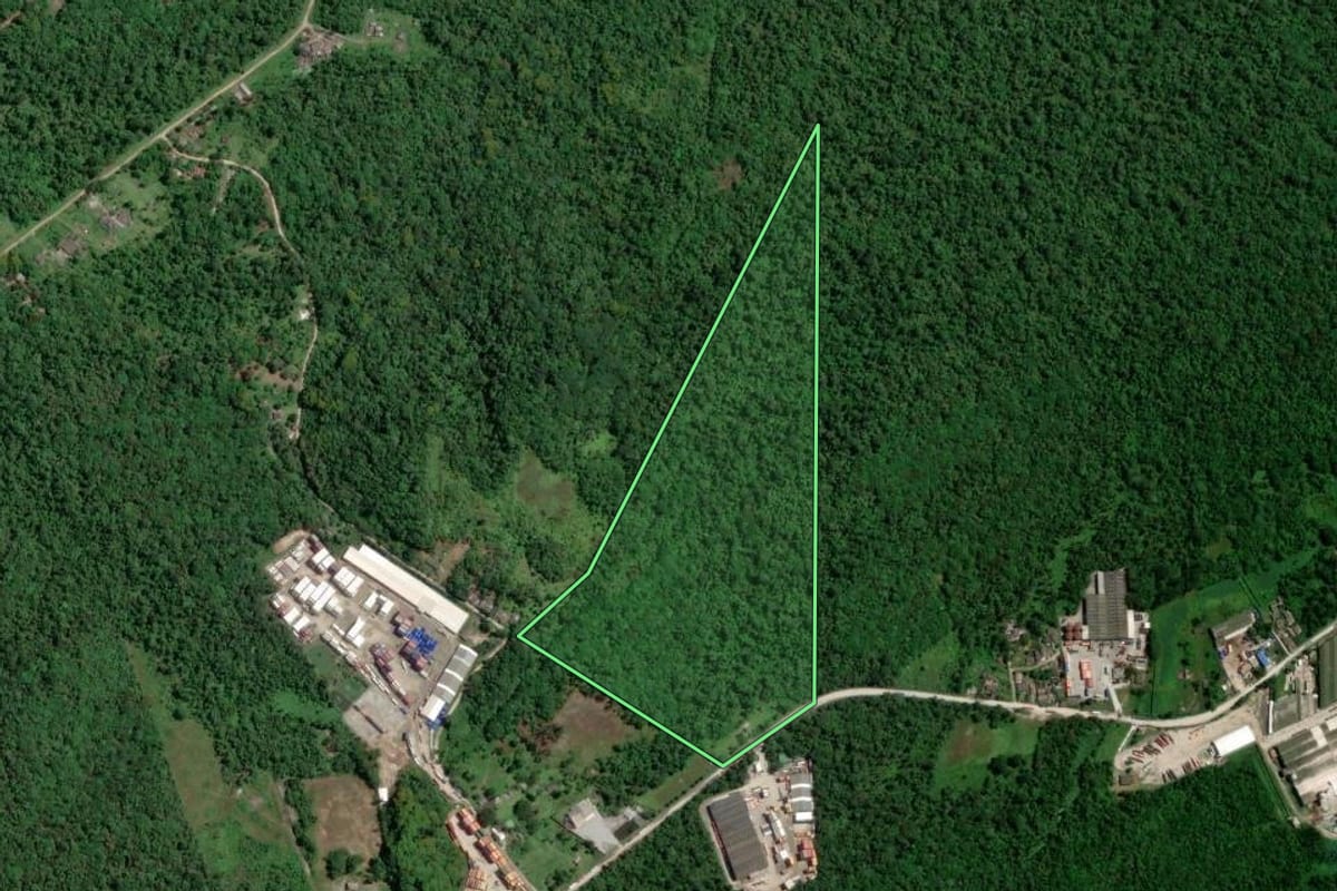 Imagem de satélite do imóvel rural em Paranaguá (PR), com o contorno declarado no CAR desenhado por cima.