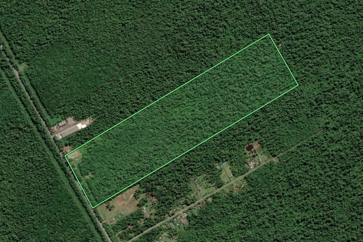 Imagem de satélite do imóvel rural em Paranaguá (PR), com o contorno declarado no CAR desenhado por cima.