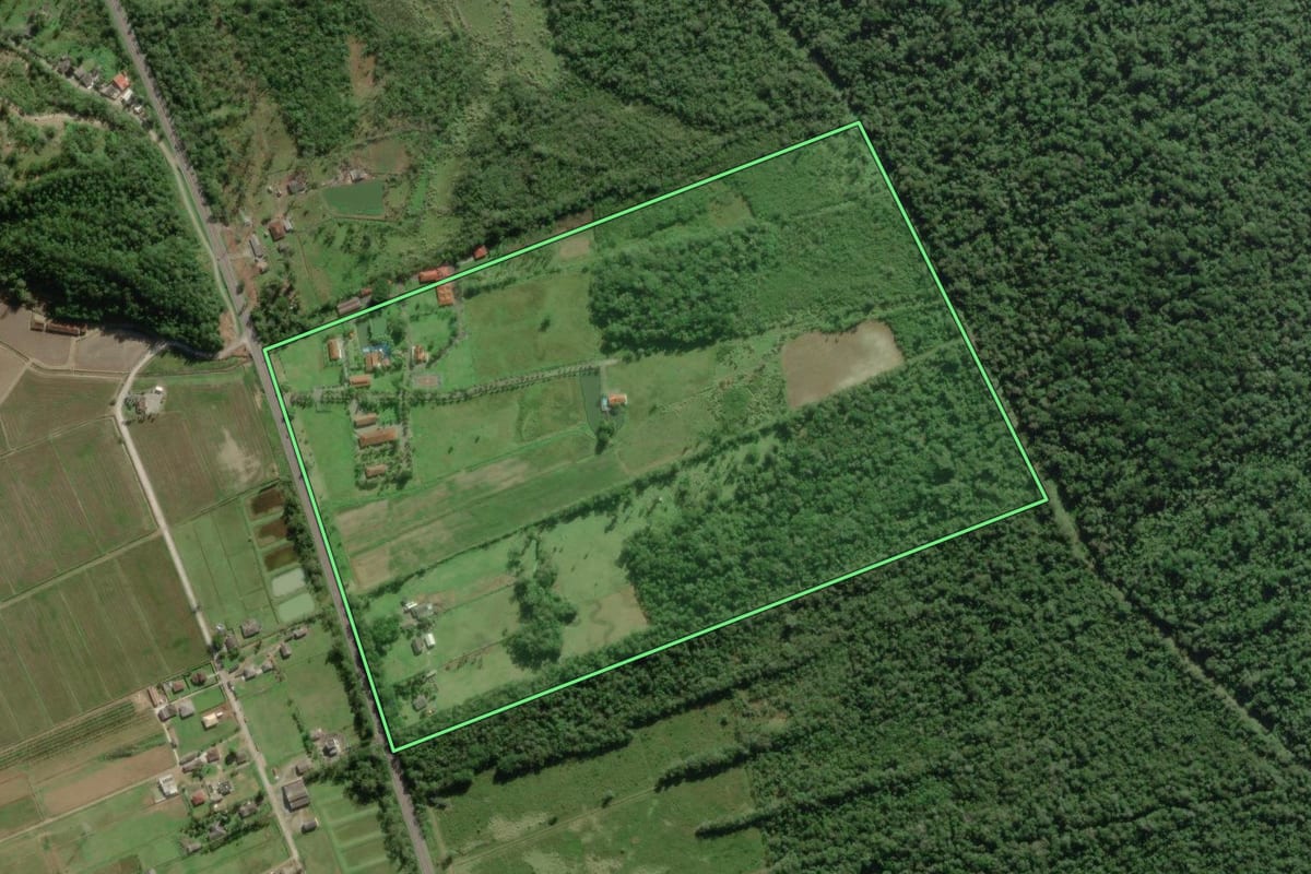 Imagem de satélite do imóvel rural em Paranaguá (PR), com o contorno declarado no CAR desenhado por cima.