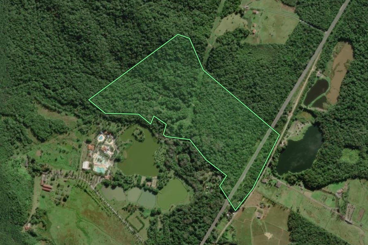 Imagem de satélite do imóvel rural em Paranaguá (PR), com o contorno declarado no CAR desenhado por cima.