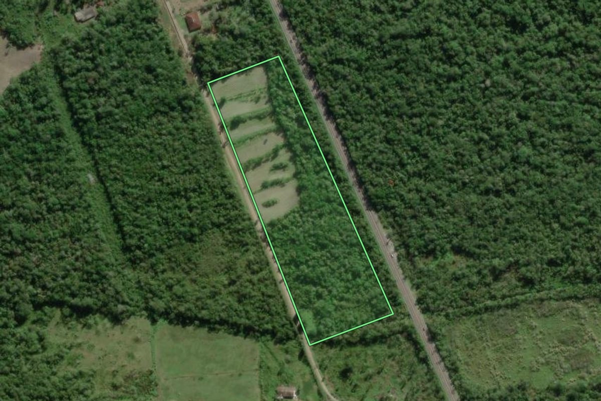 Imagem de satélite do imóvel rural em Paranaguá (PR), com o contorno declarado no CAR desenhado por cima.