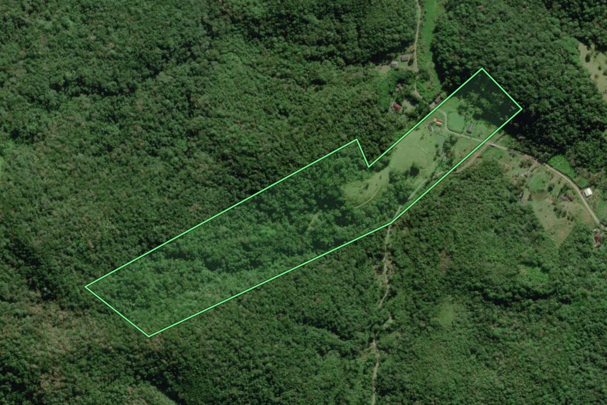 Imagem de satélite do imóvel rural em Paranaguá (PR), com o contorno declarado no CAR desenhado por cima.