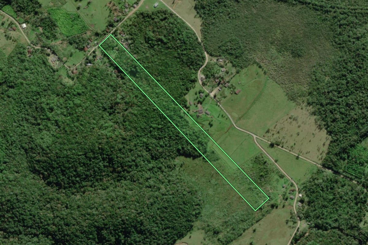 Imagem de satélite do imóvel rural em Paranaguá (PR), com o contorno declarado no CAR desenhado por cima.