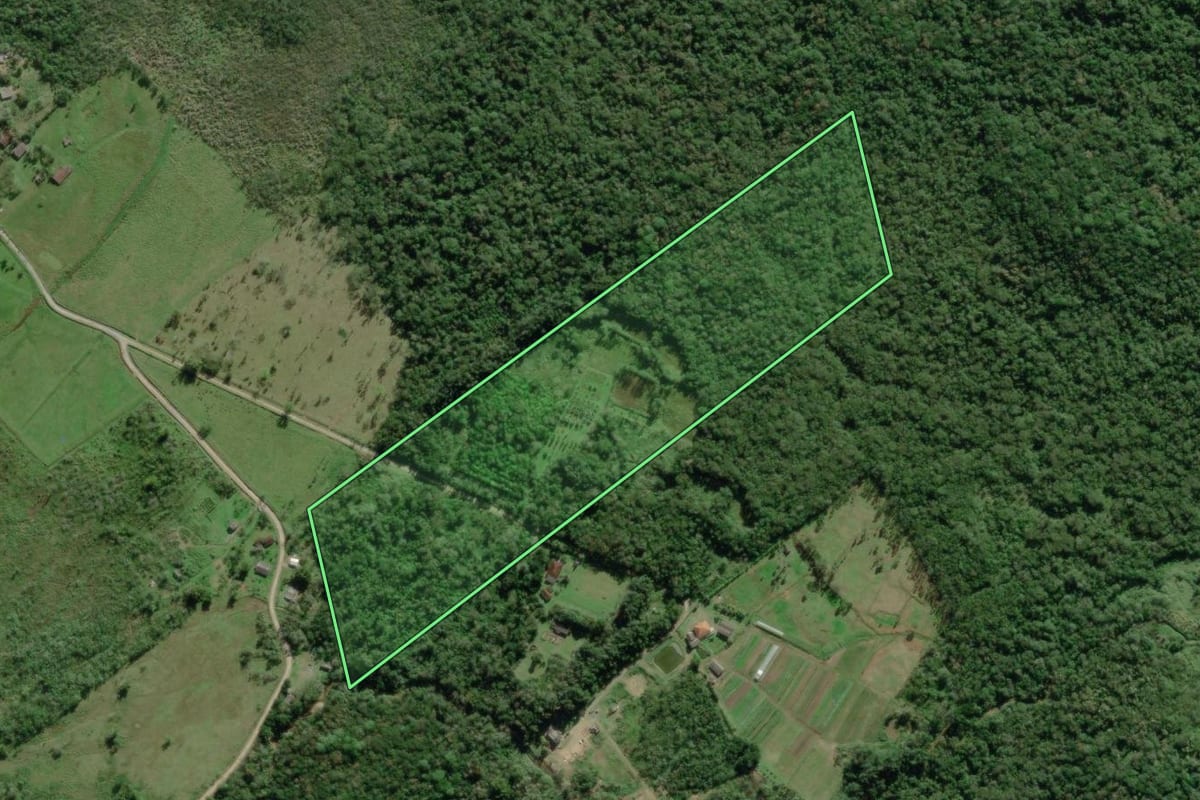 Imagem de satélite do imóvel rural em Paranaguá (PR), com o contorno declarado no CAR desenhado por cima.