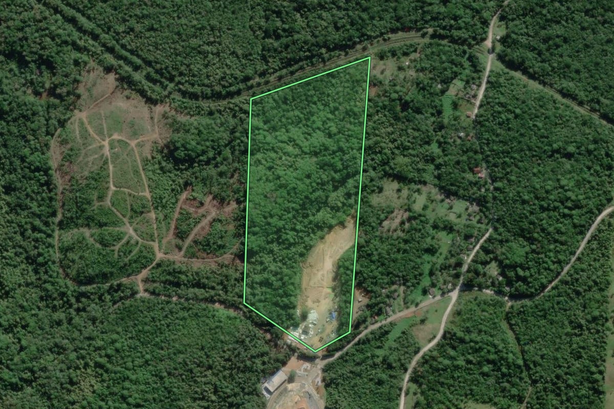 Imagem de satélite do imóvel rural em Paranaguá (PR), com o contorno declarado no CAR desenhado por cima.
