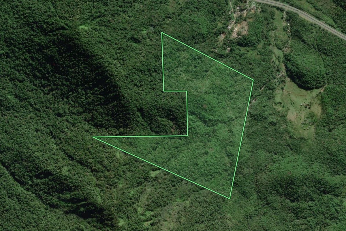Imagem de satélite do imóvel rural em Paranaguá (PR), com o contorno declarado no CAR desenhado por cima.