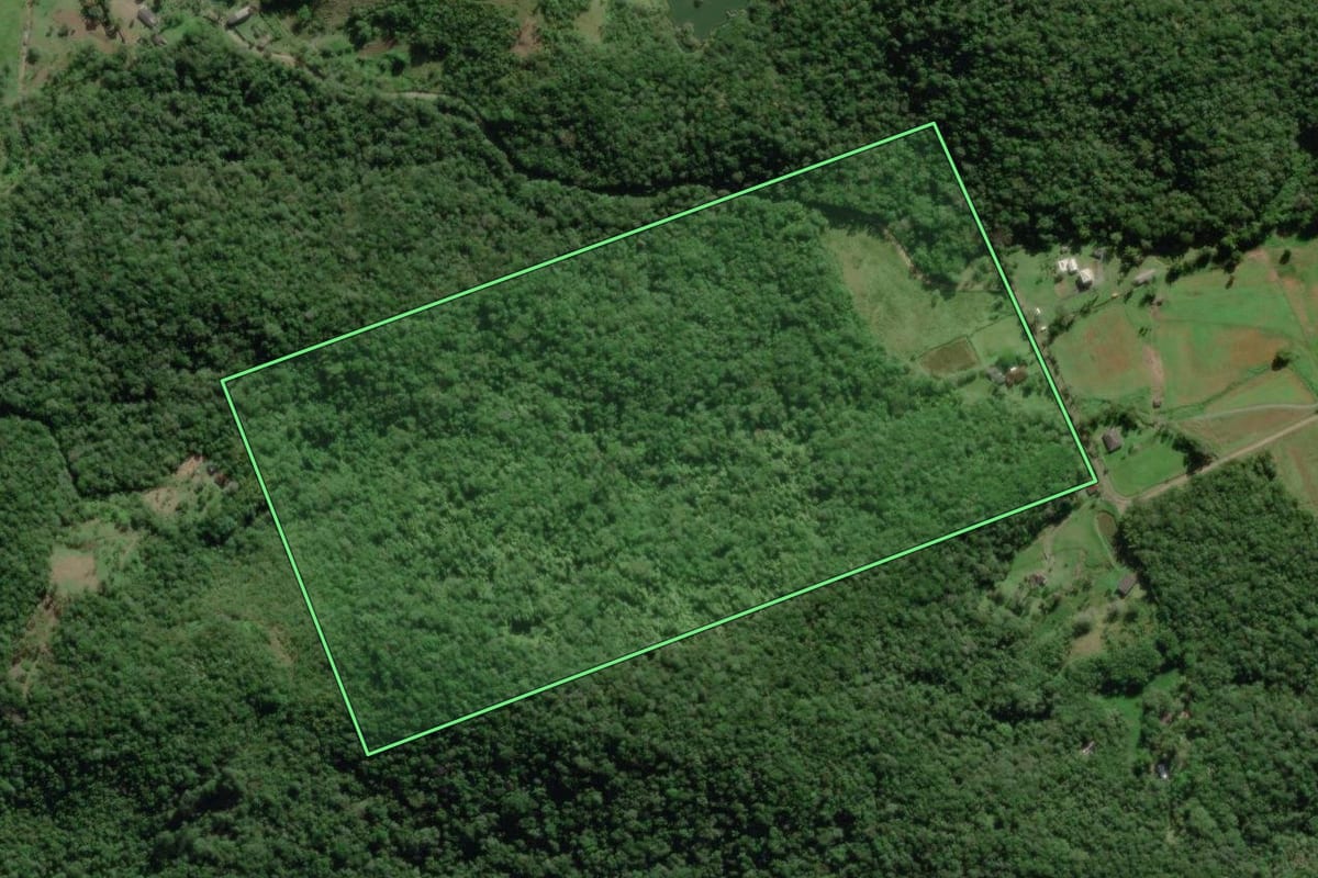 Imagem de satélite do imóvel rural em Paranaguá (PR), com o contorno declarado no CAR desenhado por cima.