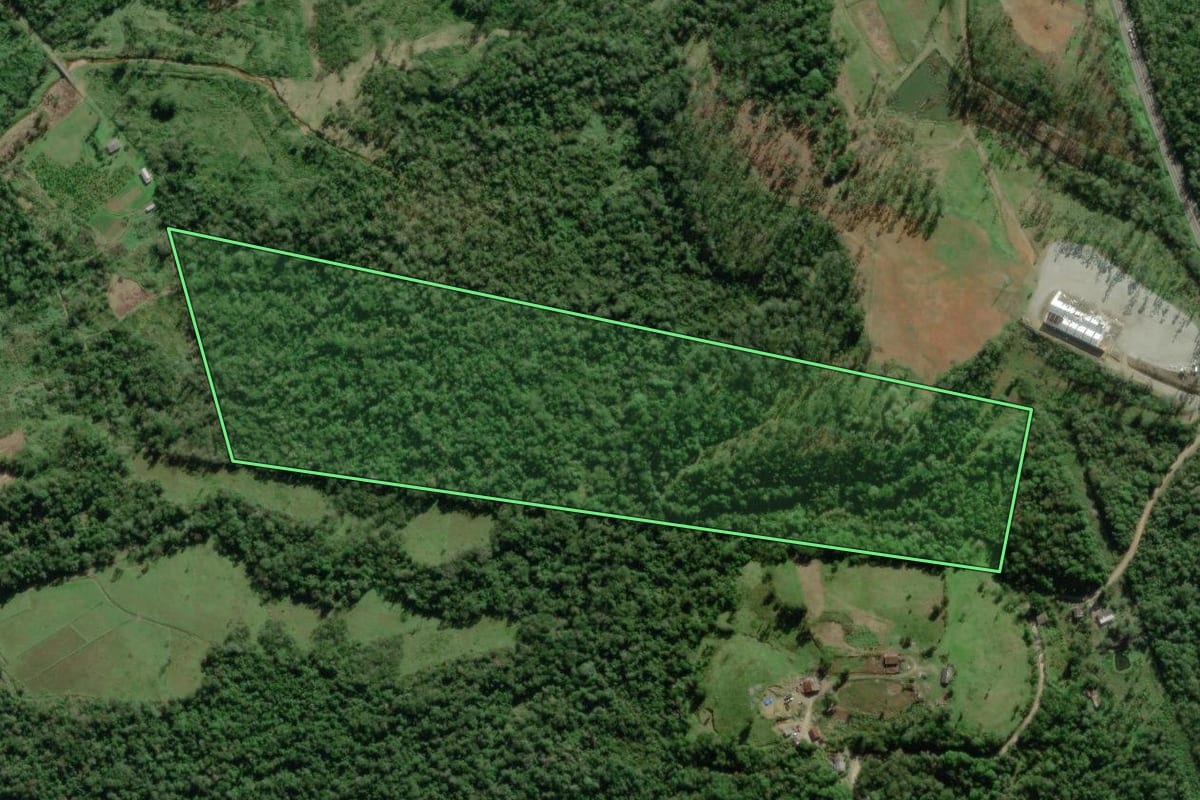 Imagem de satélite do imóvel rural em Paranaguá (PR), com o contorno declarado no CAR desenhado por cima.