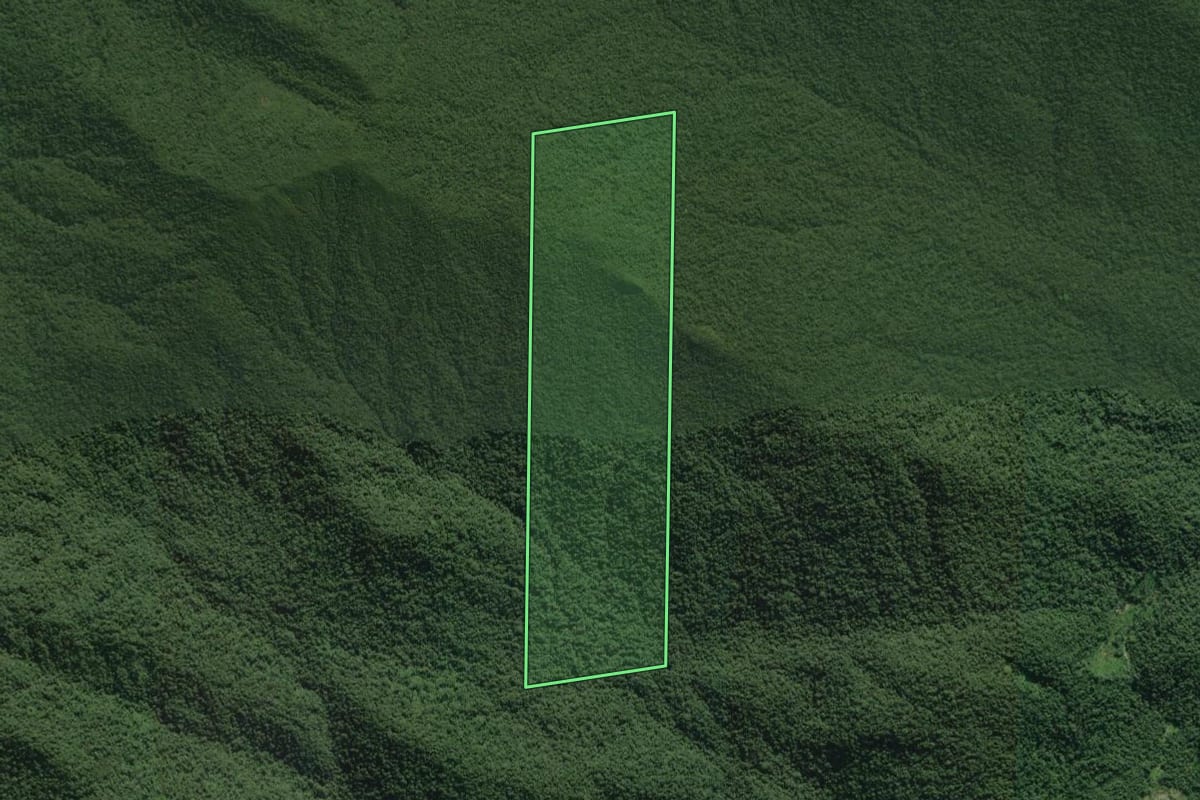 Imagem de satélite do imóvel rural em Paranaguá (PR), com o contorno declarado no CAR desenhado por cima.