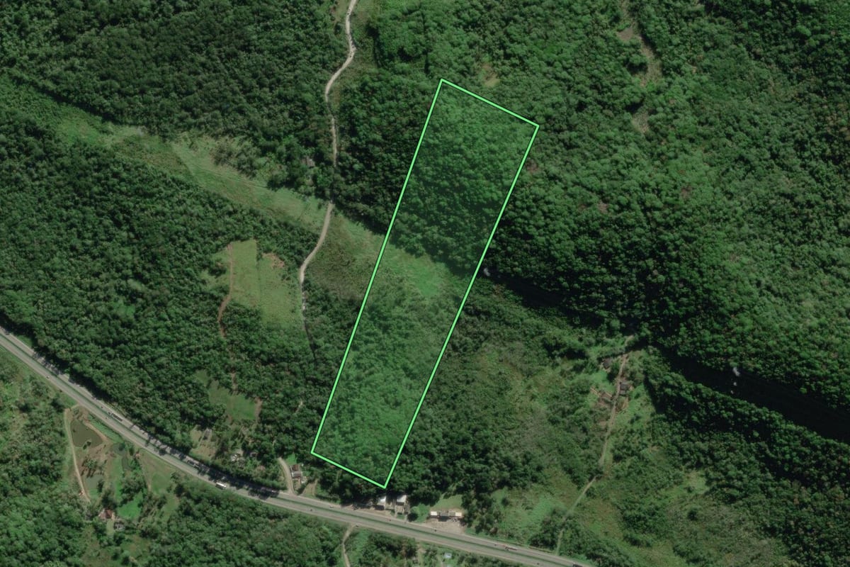 Imagem de satélite do imóvel rural em Paranaguá (PR), com o contorno declarado no CAR desenhado por cima.