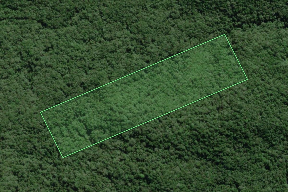 Imagem de satélite do imóvel rural em Paranaguá (PR), com o contorno declarado no CAR desenhado por cima.