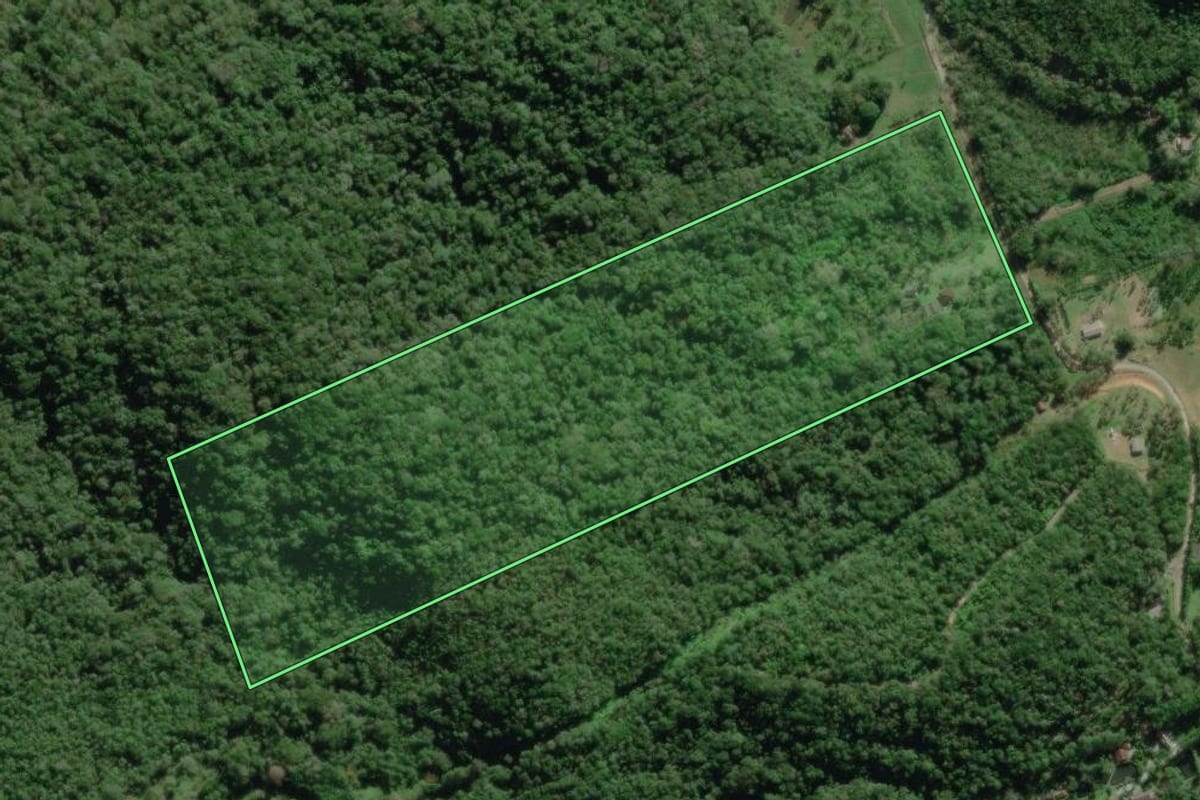 Imagem de satélite do imóvel rural em Paranaguá (PR), com o contorno declarado no CAR desenhado por cima.