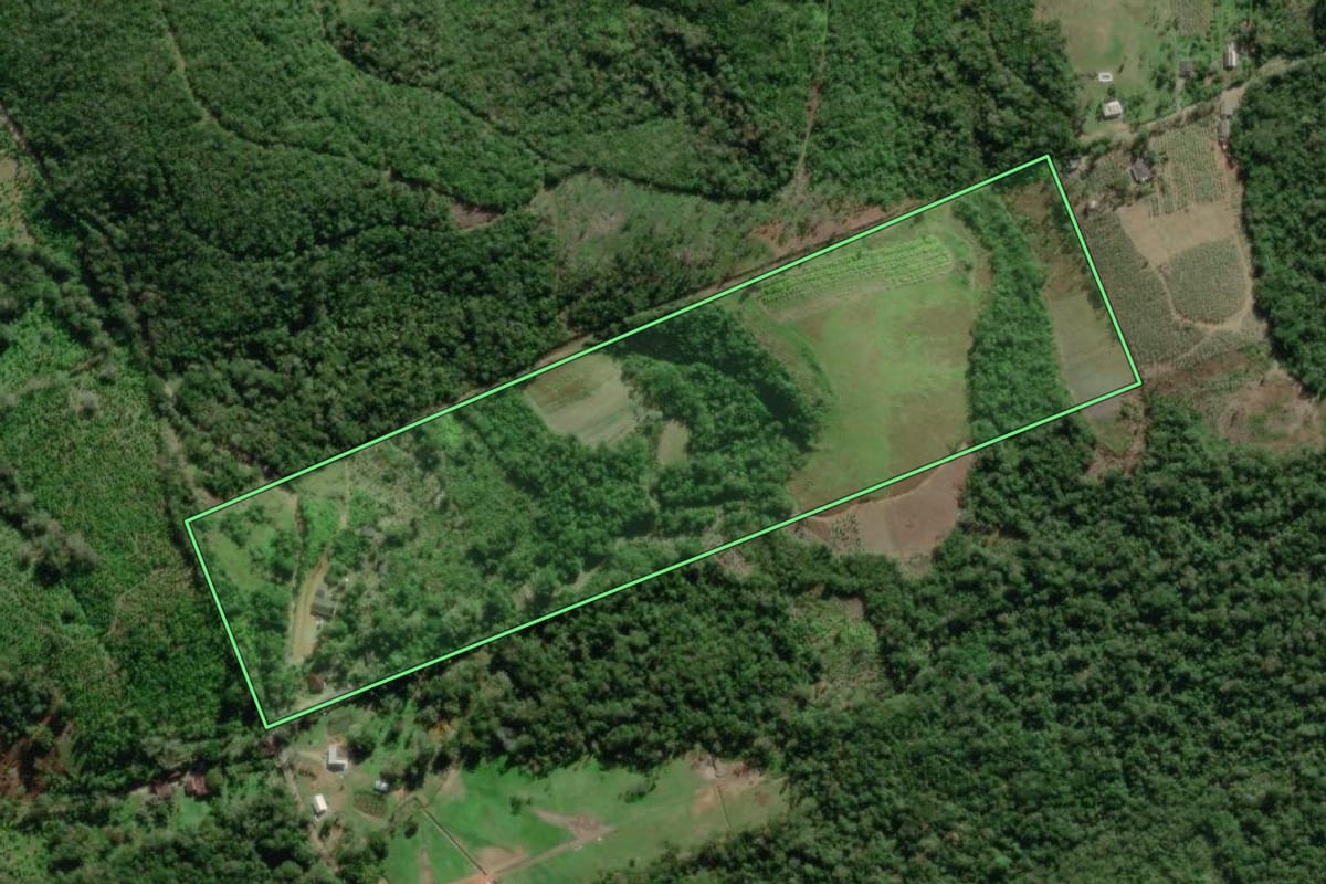 Imagem de satélite do imóvel rural em Paranaguá (PR), com o contorno declarado no CAR desenhado por cima.