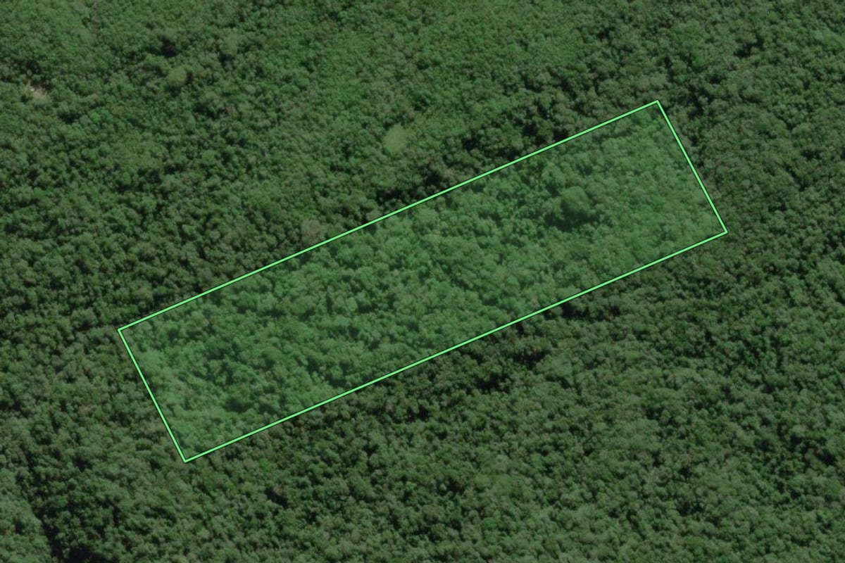 Imagem de satélite do imóvel rural em Paranaguá (PR), com o contorno declarado no CAR desenhado por cima.
