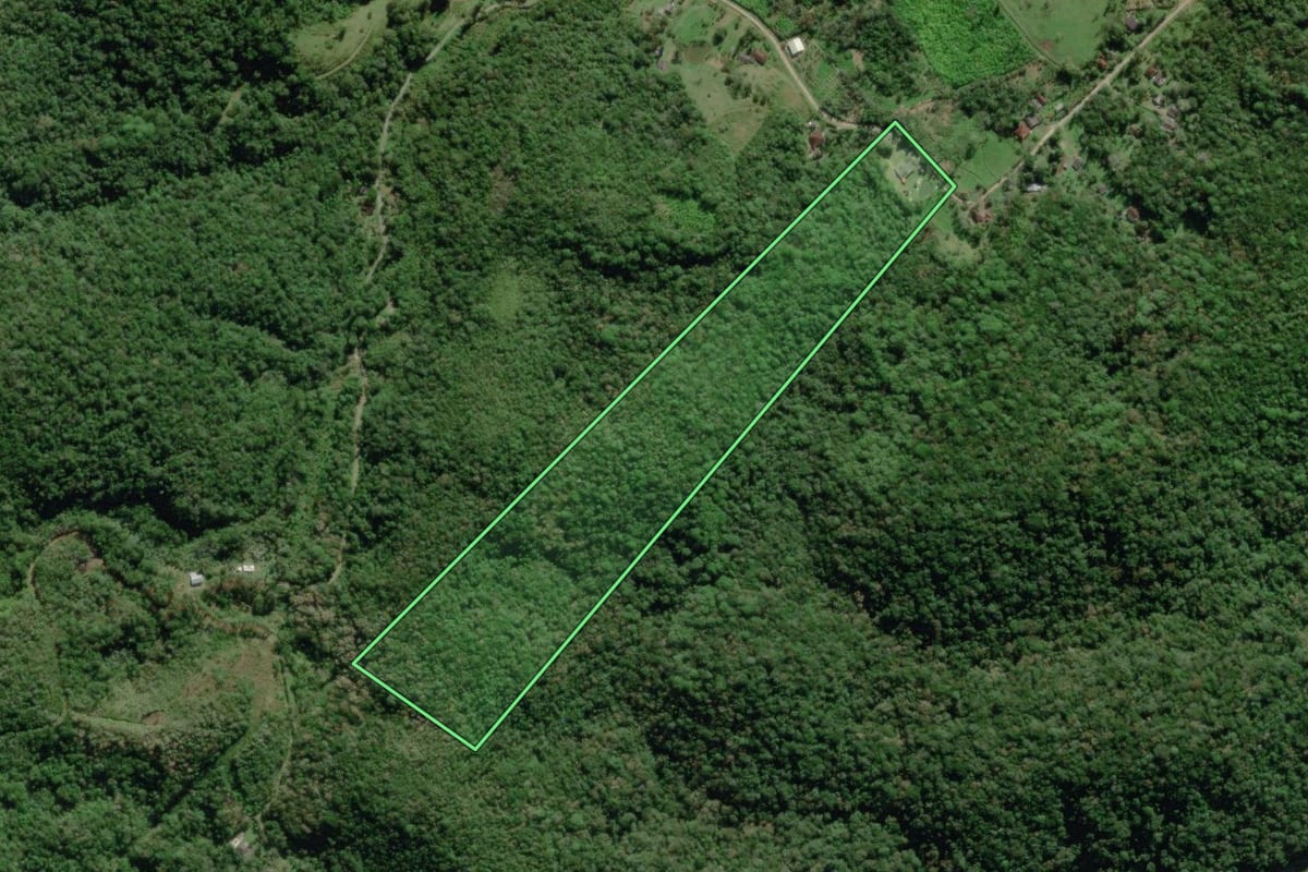 Imagem de satélite do imóvel rural em Paranaguá (PR), com o contorno declarado no CAR desenhado por cima.