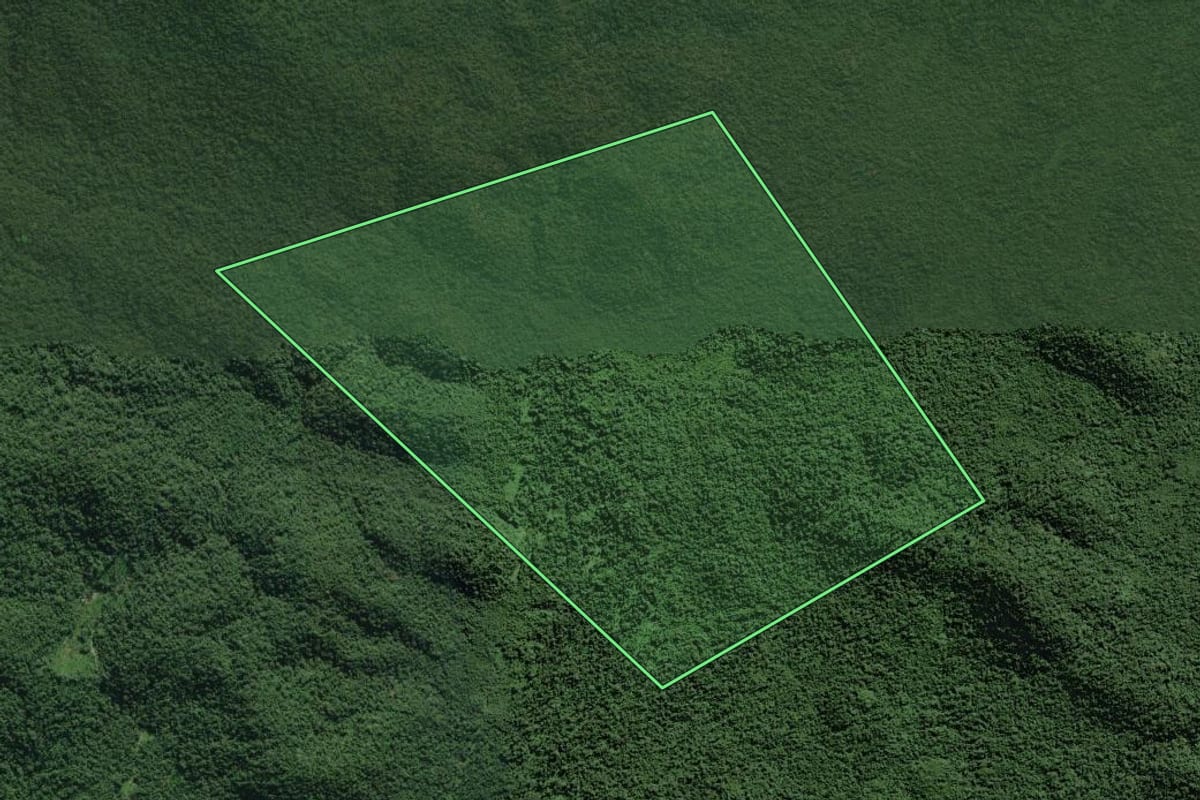 Imagem de satélite do imóvel rural em Paranaguá (PR), com o contorno declarado no CAR desenhado por cima.