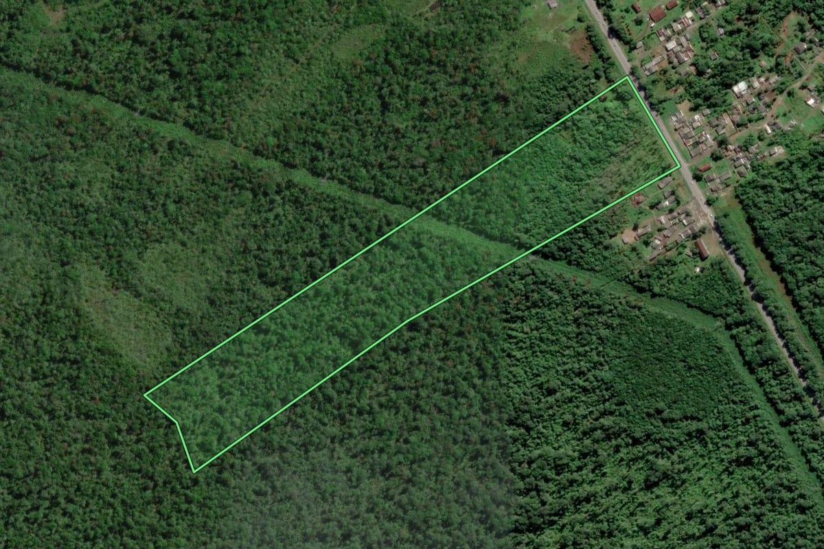 Imagem de satélite do imóvel rural em Paranaguá (PR), com o contorno declarado no CAR desenhado por cima.