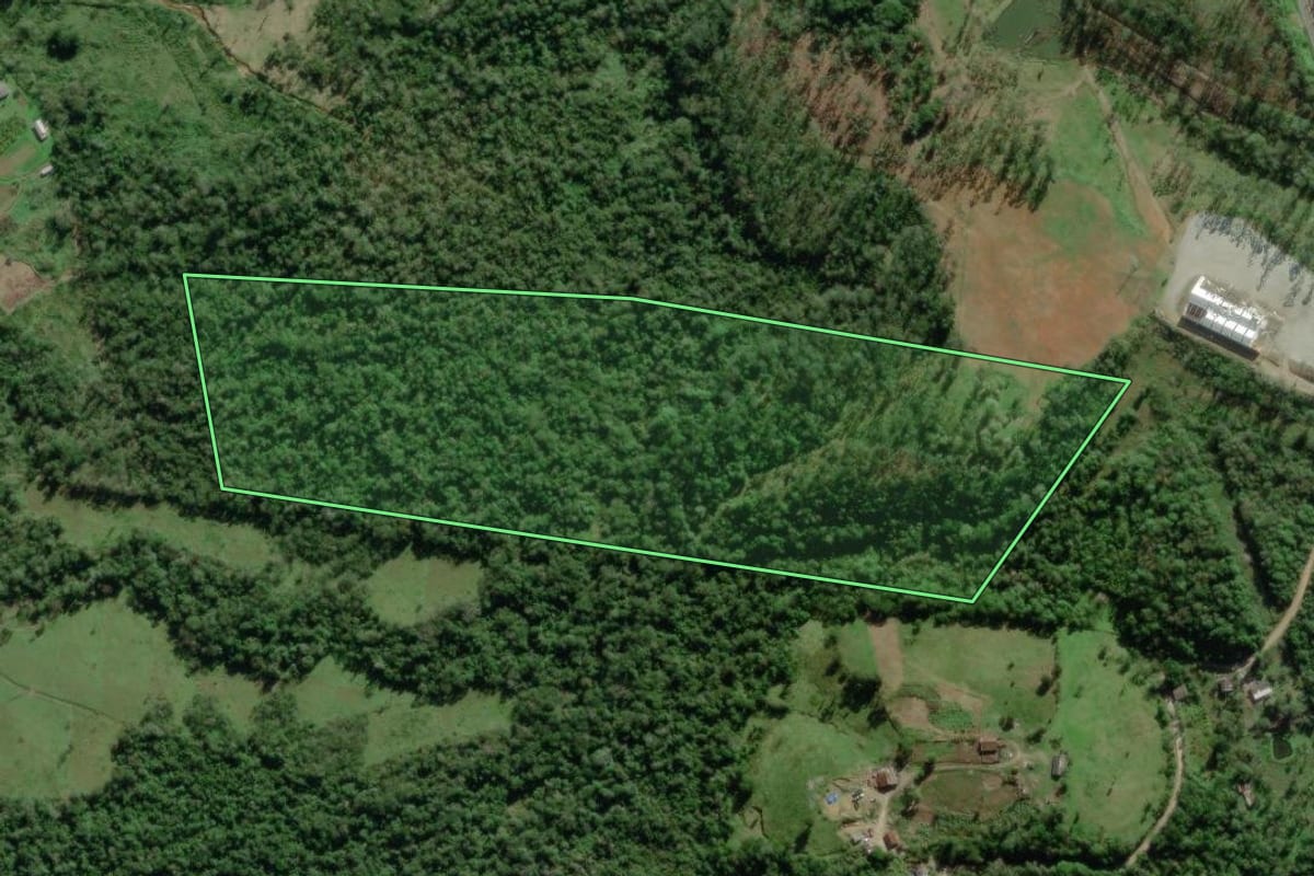 Imagem de satélite do imóvel rural em Paranaguá (PR), com o contorno declarado no CAR desenhado por cima.