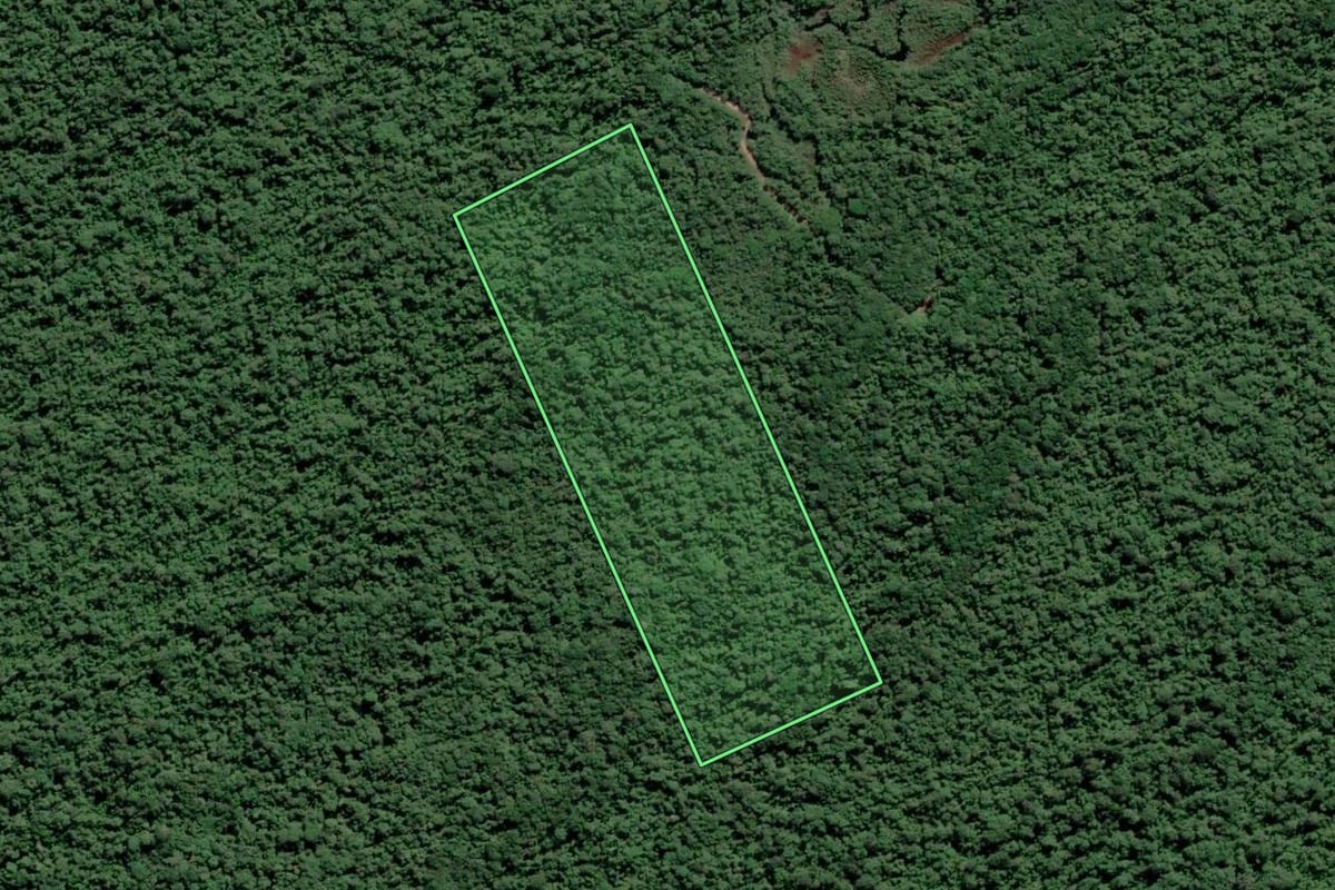 Imagem de satélite do imóvel rural em Paranaguá (PR), com o contorno declarado no CAR desenhado por cima.