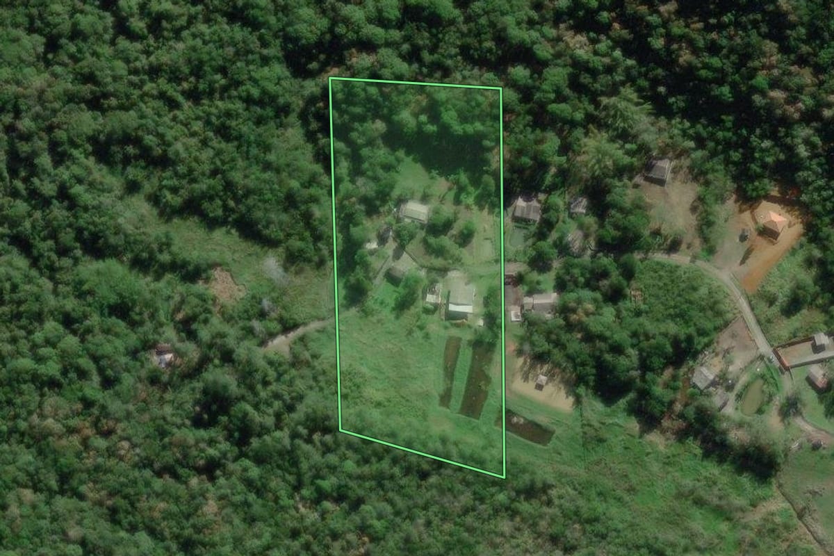 Imagem de satélite do imóvel rural em Paranaguá (PR), com o contorno declarado no CAR desenhado por cima.