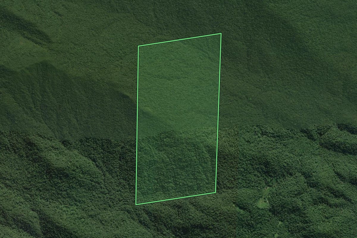 Imagem de satélite do imóvel rural em Paranaguá (PR), com o contorno declarado no CAR desenhado por cima.