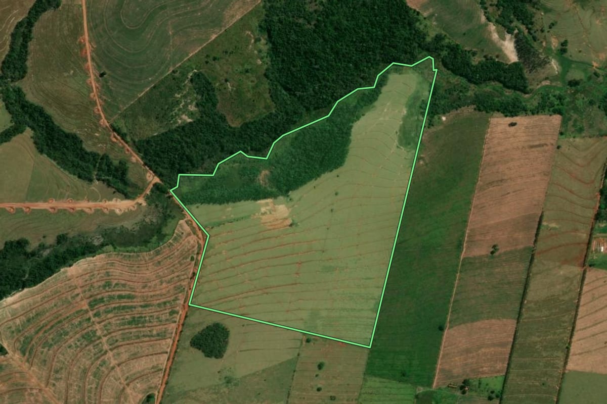 Imagem de satélite do imóvel rural em Paranavaí (PR), com o contorno declarado no CAR desenhado por cima.