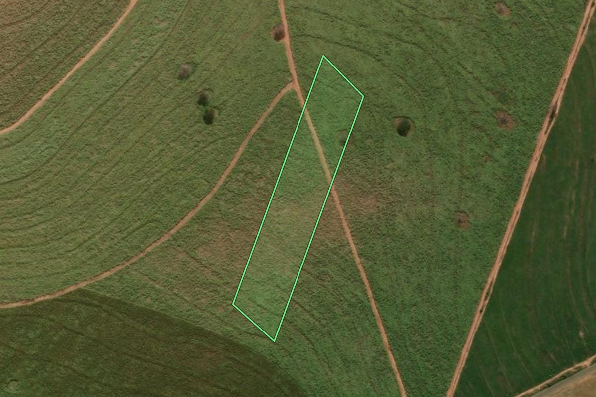 Imagem de satélite do imóvel rural em Paranavaí (PR), com o contorno declarado no CAR desenhado por cima.