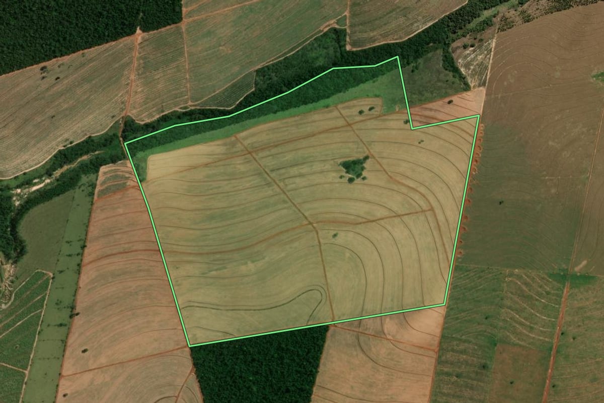Imagem de satélite do imóvel rural em Paranavaí (PR), com o contorno declarado no CAR desenhado por cima.