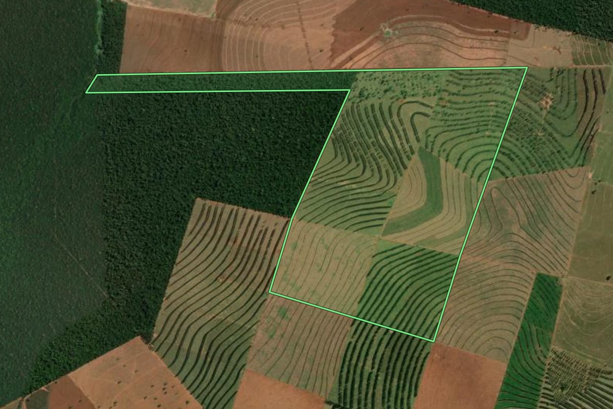 Imagem de satélite do imóvel rural em Paranavaí (PR), com o contorno declarado no CAR desenhado por cima.