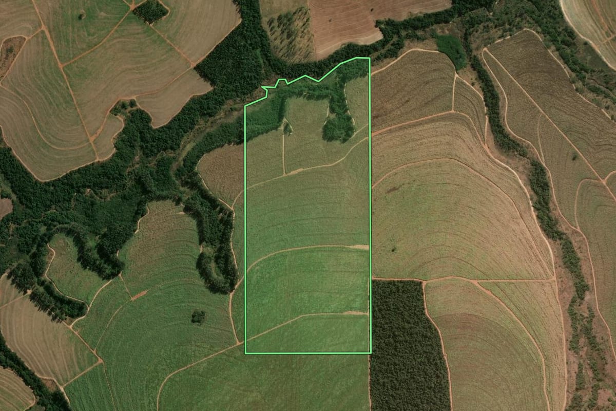 Imagem de satélite do imóvel rural em Paranavaí (PR), com o contorno declarado no CAR desenhado por cima.