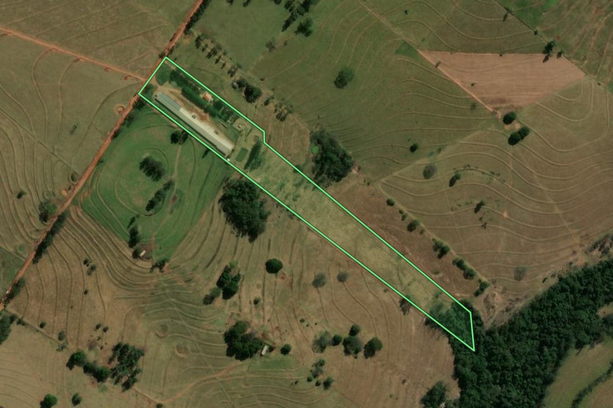 Imagem de satélite do imóvel rural em Paranavaí (PR), com o contorno declarado no CAR desenhado por cima.