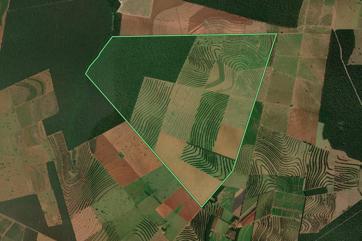 Imagem de satélite do imóvel rural em Paranavaí (PR), com o contorno declarado no CAR desenhado por cima.