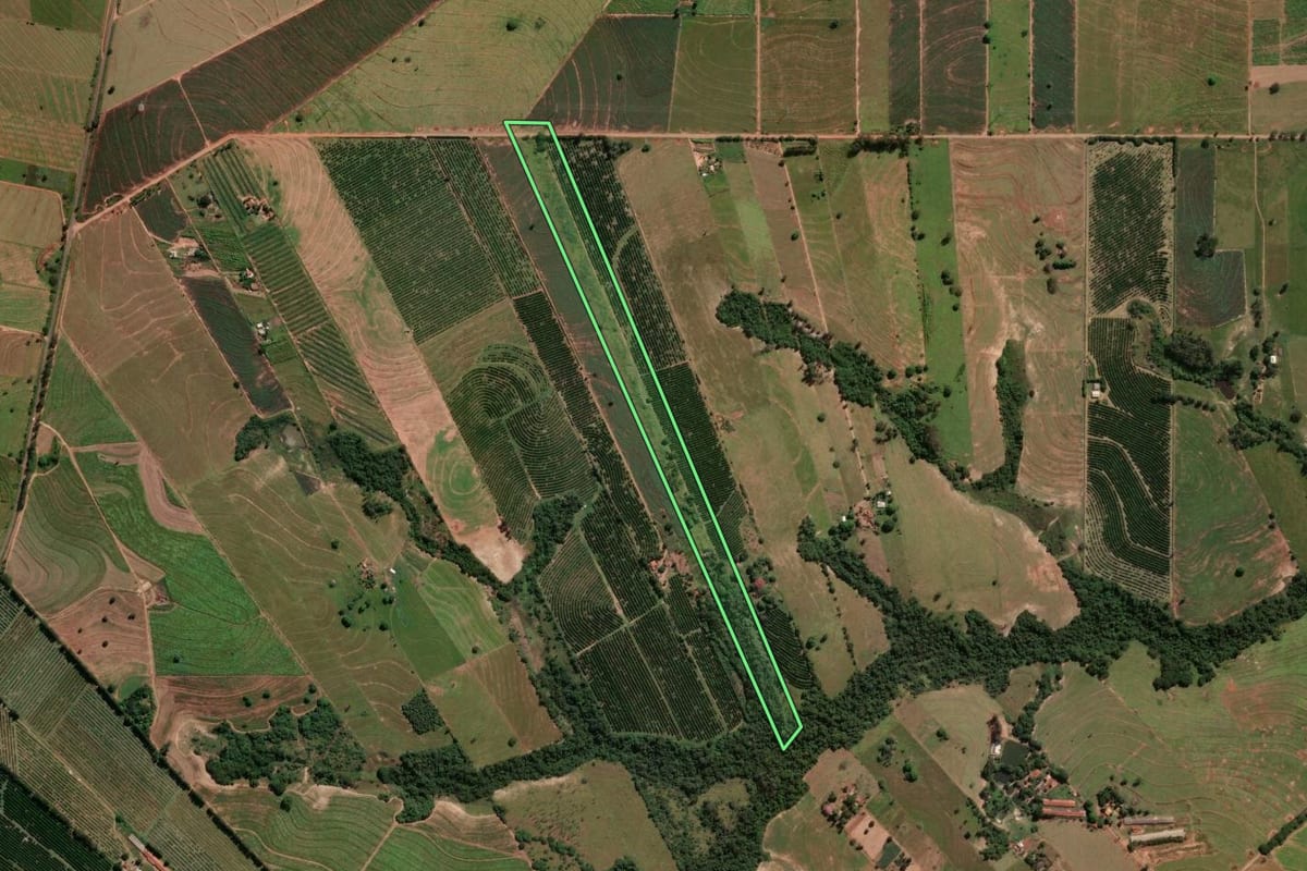 Imagem de satélite do imóvel rural em Paranavaí (PR), com o contorno declarado no CAR desenhado por cima.