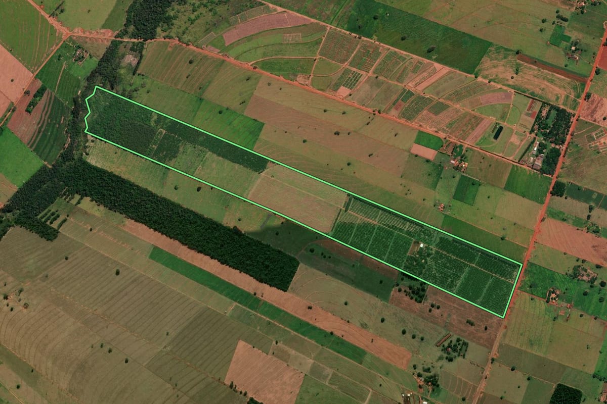 Imagem de satélite do imóvel rural em Paranavaí (PR), com o contorno declarado no CAR desenhado por cima.