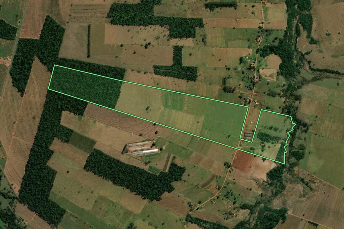 Imagem de satélite do imóvel rural em Paranavaí (PR), com o contorno declarado no CAR desenhado por cima.