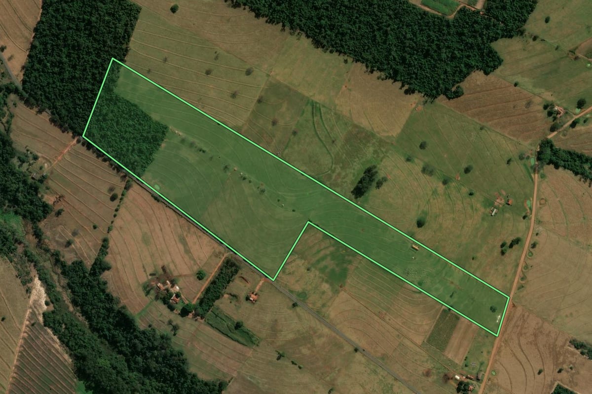 Imagem de satélite do imóvel rural em Paranavaí (PR), com o contorno declarado no CAR desenhado por cima.